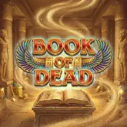 Book of Dead game at Spinsy Casino for Australian players