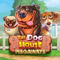 The Dog House Megaways game at Spinsy Casino for Australian players