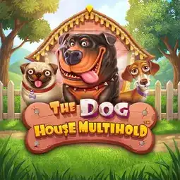 The Dog House Multihold game at Spinsy Casino for Australian players